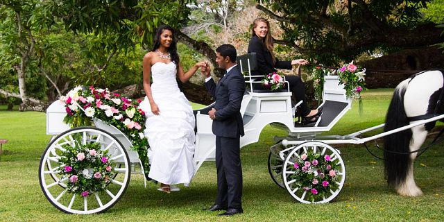 Wedding horse carriage ride (1)